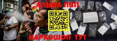 хмурый Новозыбков