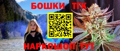индика Новодвинск
