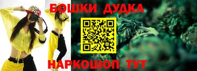 индика Новодвинск