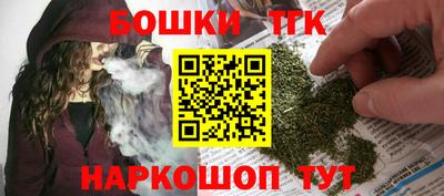 индика Новодвинск