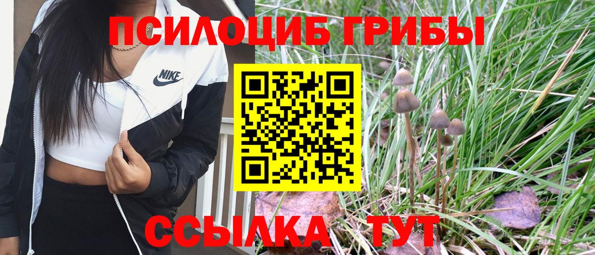 Меф   ГАШ  Бошки Шишки  Кинешма  LSD-25  Вход с VPN  ГАШ  A-PVP СК   КОКАИН 