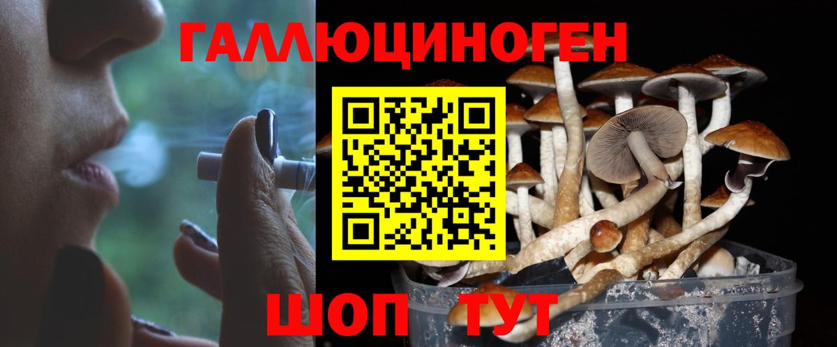Кинешма  Галлюциногенные грибы мицелий  Вход с VPN 